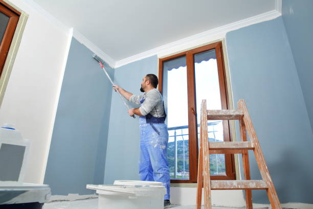 Trusted Pontiac, IL Dry wall and painting Experts